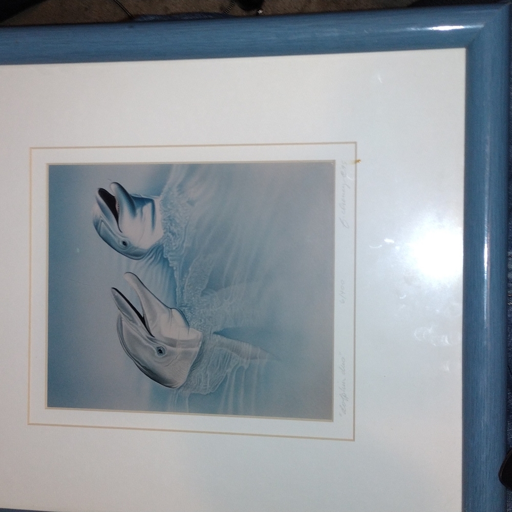 Beautiful Dolphin Framed lithograph